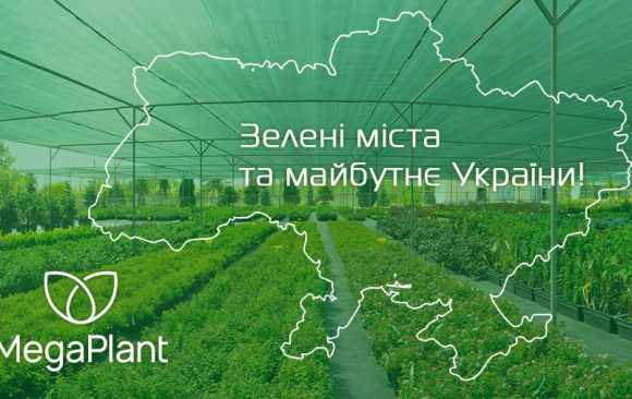 Ukraine’s Largest Nursery of Ornamental Plants for Outdoor Landscaping MegaPlant is Actively Spending the Spring Season Ukraine’s Largest Nursery of Ornamental Plants for Outdoor Landscaping MegaPlant is Actively Spending the Spring Season