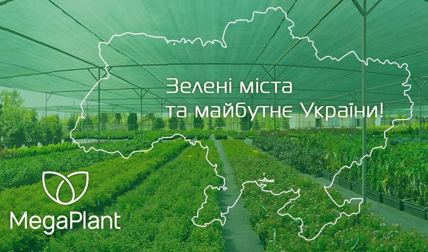 Ukraine’s Largest Nursery of Ornamental Plants for Outdoor Landscaping MegaPlant is Actively Spending the Spring Season