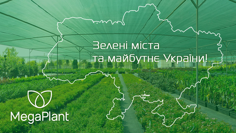 Найбільший в Україні розсадник декоративних рослин для зовнішнього озеленення MegaPlant активно проводить весняний сезон